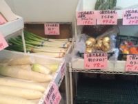 浅草の八百屋さん、九州野菜せごどん都城。