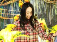 浅草鳥のいるカフェ×ことりカフェ「東京観光 鳥カフェMAP」リリース記念!!勝手に世界の鳥特集。