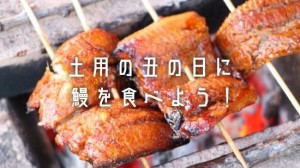unagi