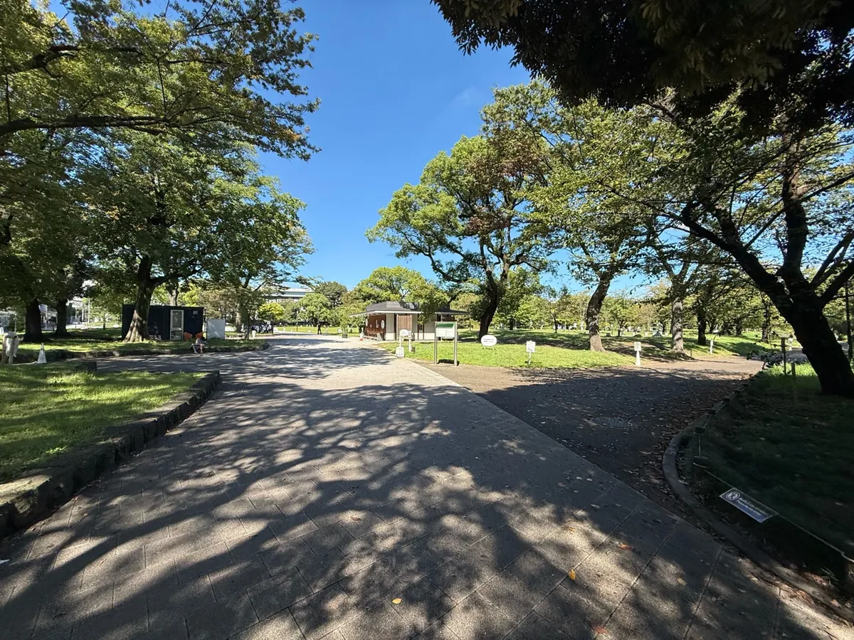 墨田区側の隅田公園にある木陰の園路