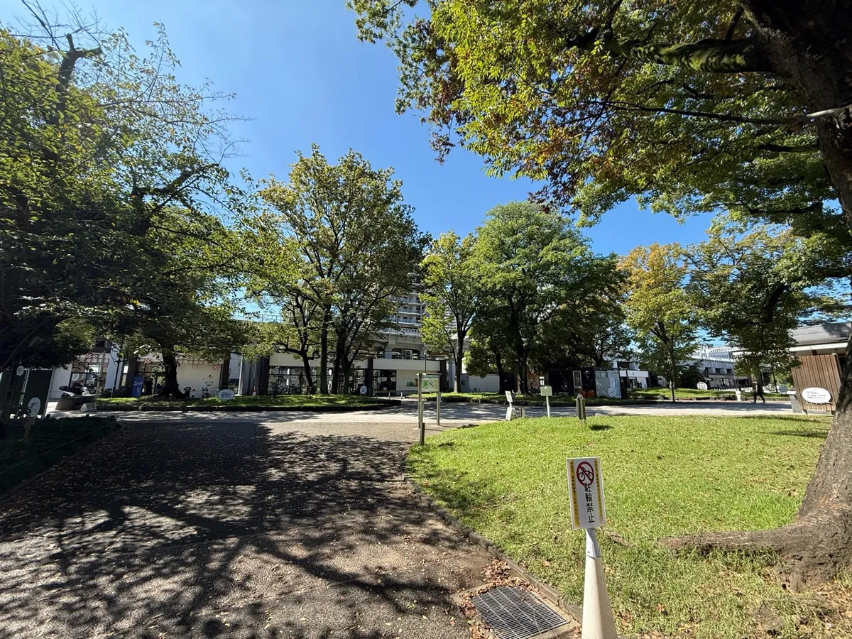 隅田公園の緑の向こうにミズマチ側の街並みが見える風景